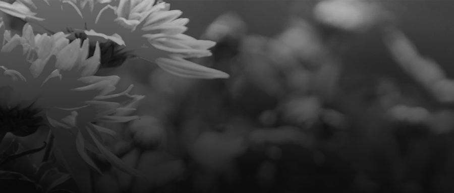 1750641700668098.png