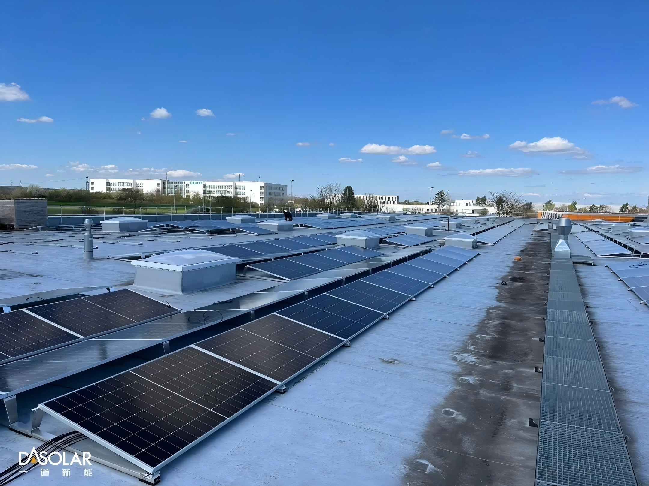 1768805932209134.jpg 1768805932209134.jpg